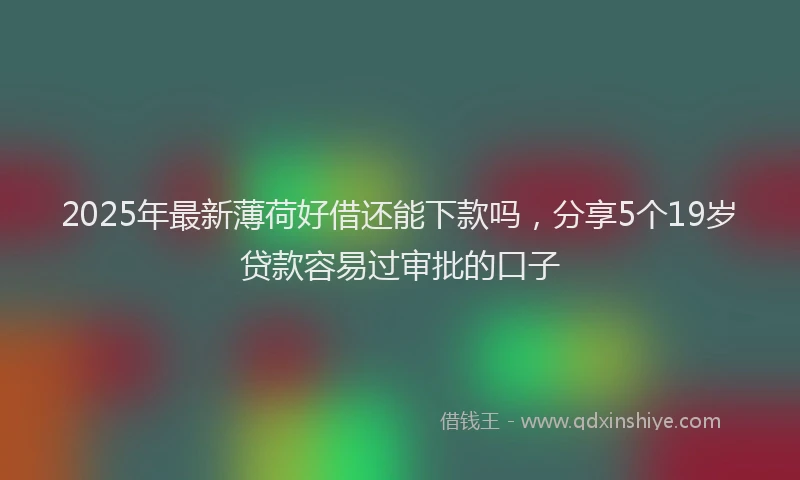 2025年最新薄荷好借还能下款吗，分享5个19岁贷款容易过审批的口子