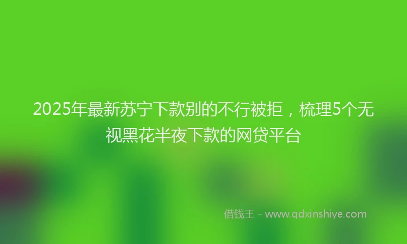 2025年最新苏宁下款别的不行被拒，梳理5个无视黑花半夜下款的网贷平台