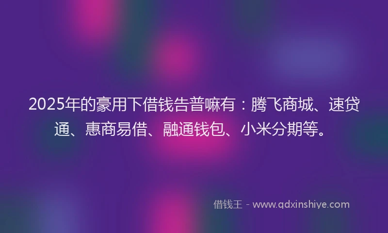 2025年的豪用下借钱告普嘛有：腾飞商城、速贷通、惠商易借、融通钱包、小米分期等。