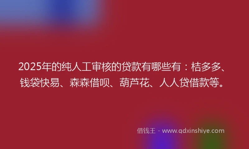 2025年的纯人工审核的贷款有哪些有：桔多多、钱袋快易、森森借呗、葫芦花、人人贷借款等。