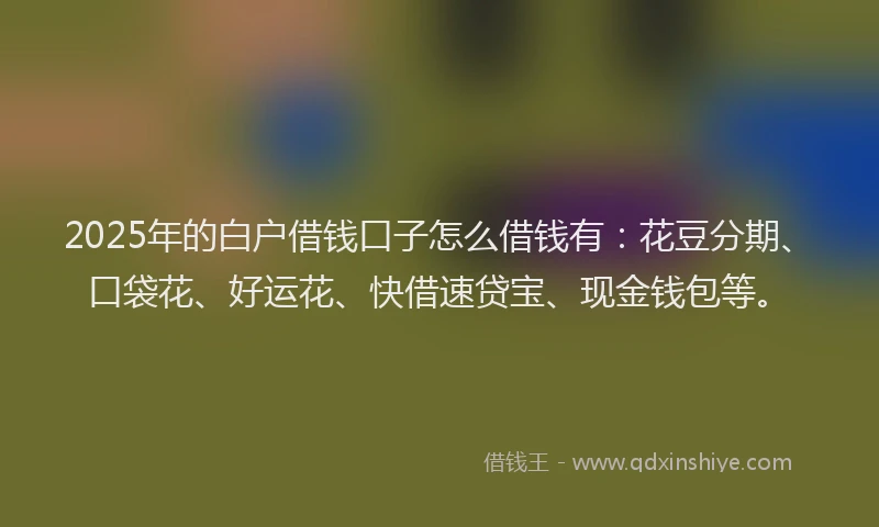 2025年的白户借钱口子怎么借钱有：花豆分期、口袋花、好运花、快借速贷宝、现金钱包等。