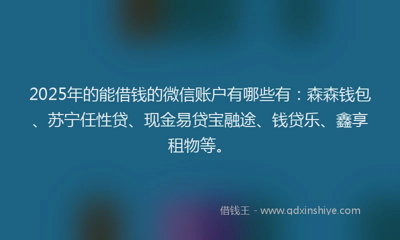 2025年的能借钱的微信账户有哪些有：森森钱包、苏宁任性贷、现金易贷宝融途、钱贷乐、鑫享租物等。