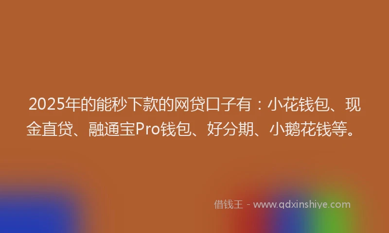 2025年的能秒下款的网贷口子有：小花钱包、现金直贷、融通宝Pro钱包、好分期、小鹅花钱等。