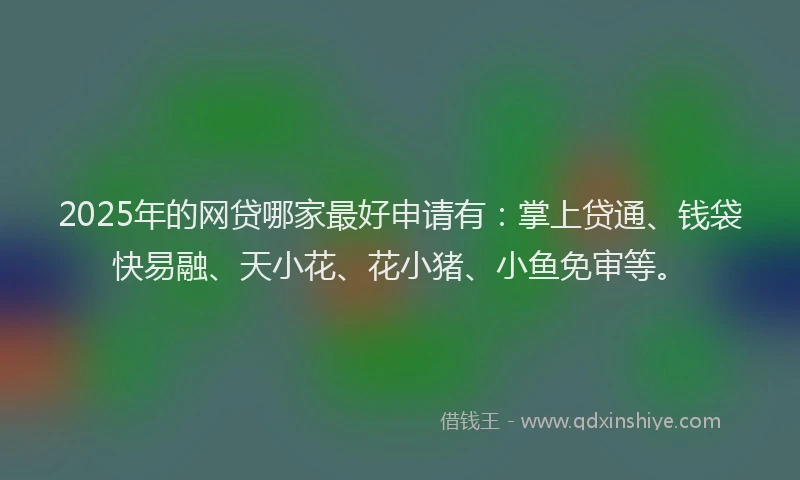 2025年的网贷哪家最好申请有：掌上贷通、钱袋快易融、天小花、花小猪、小鱼免审等。