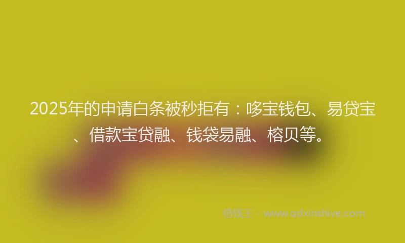 2025年的申请白条被秒拒有：哆宝钱包、易贷宝、借款宝贷融、钱袋易融、榕贝等。