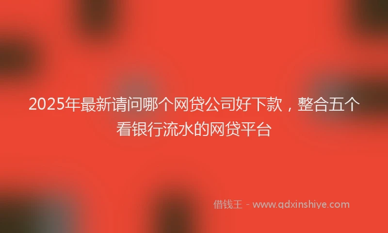 2025年最新请问哪个网贷公司好下款，整合五个看银行流水的网贷平台