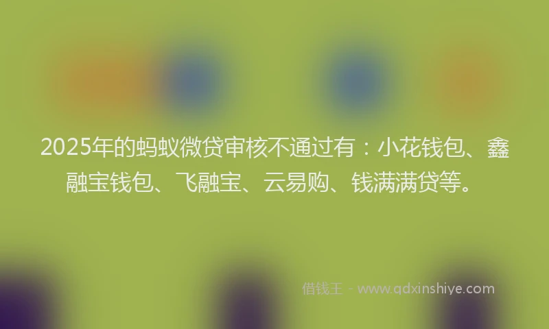 2025年的蚂蚁微贷审核不通过有：小花钱包、鑫融宝钱包、飞融宝、云易购、钱满满贷等。