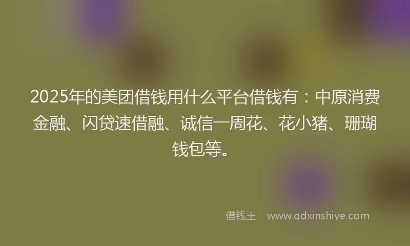 2025年的美团借钱用什么平台借钱有：中原消费金融、闪贷速借融、诚信一周花、花小猪、珊瑚钱包等。