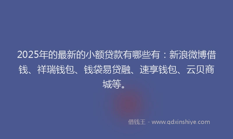 2025年的最新的小额贷款有哪些有：新浪微博借钱、祥瑞钱包、钱袋易贷融、速享钱包、云贝商城等。