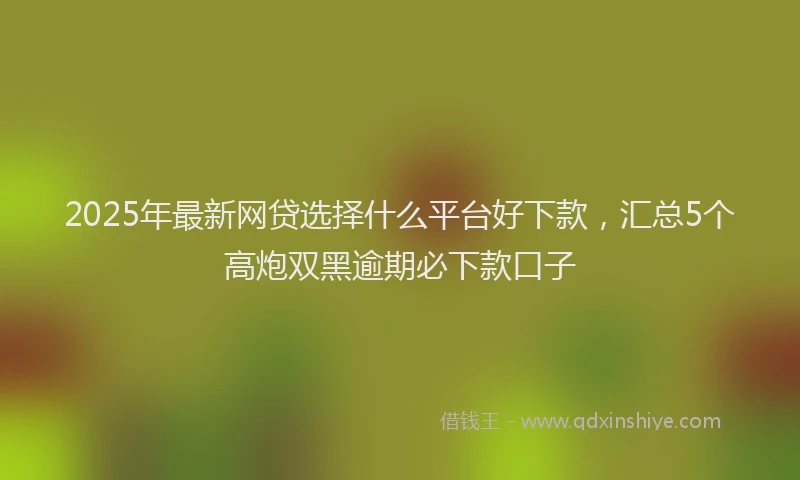 2025年最新网贷选择什么平台好下款，汇总5个高炮双黑逾期必下款口子