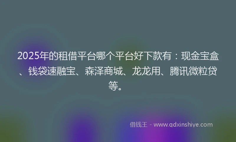 2025年的租借平台哪个平台好下款有：现金宝盒、钱袋速融宝、森泽商城、龙龙用、腾讯微粒贷等。