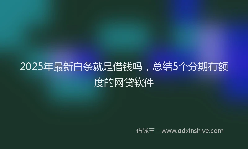 2025年最新白条就是借钱吗，总结5个分期有额度的网贷软件