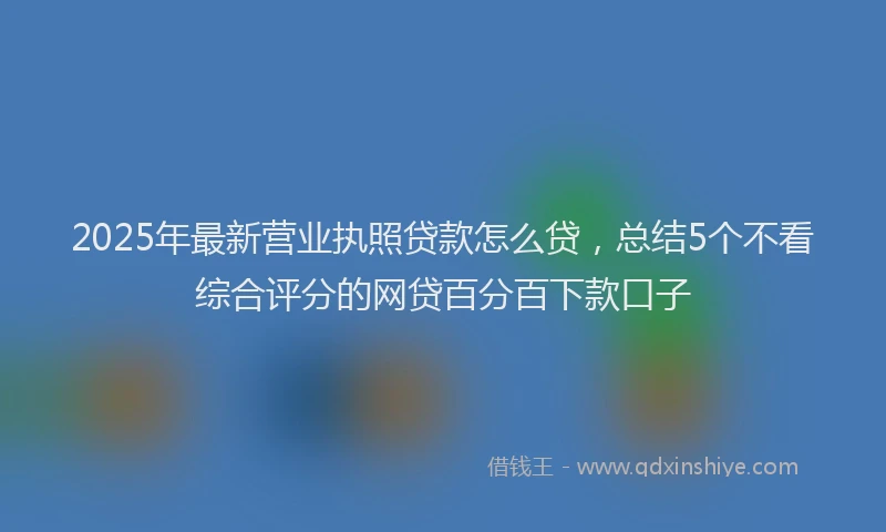 2025年最新营业执照贷款怎么贷，总结5个不看综合评分的网贷百分百下款口子