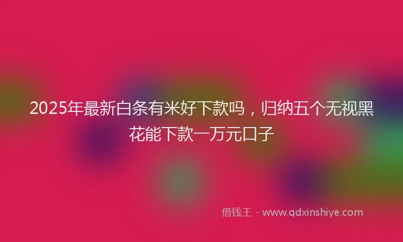 2025年最新白条有米好下款吗，归纳五个无视黑花能下款一万元口子