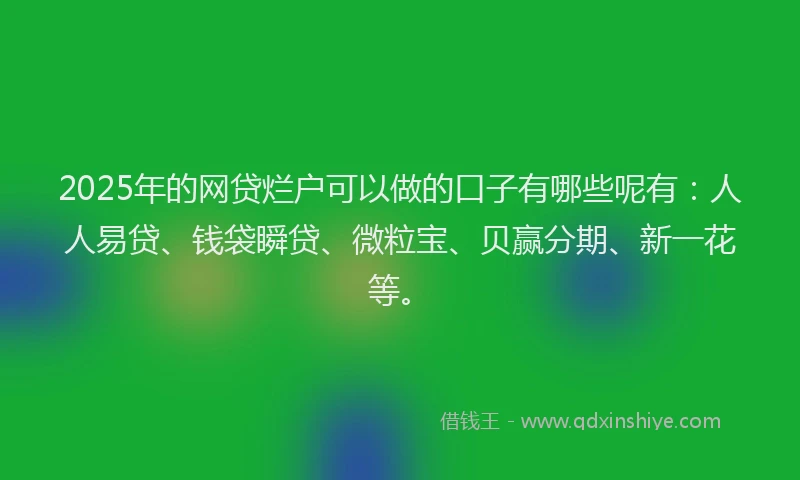2025年的网贷烂户可以做的口子有哪些呢有：人人易贷、钱袋瞬贷、微粒宝、贝赢分期、新一花等。