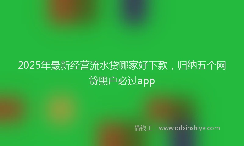 2025年最新经营流水贷哪家好下款，归纳五个网贷黑户必过app