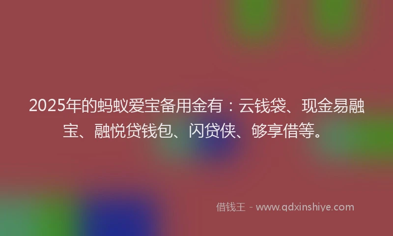 2025年的蚂蚁爱宝备用金有：云钱袋、现金易融宝、融悦贷钱包、闪贷侠、够享借等。