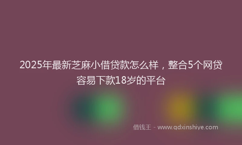 2025年最新芝麻小借贷款怎么样，整合5个网贷容易下款18岁的平台