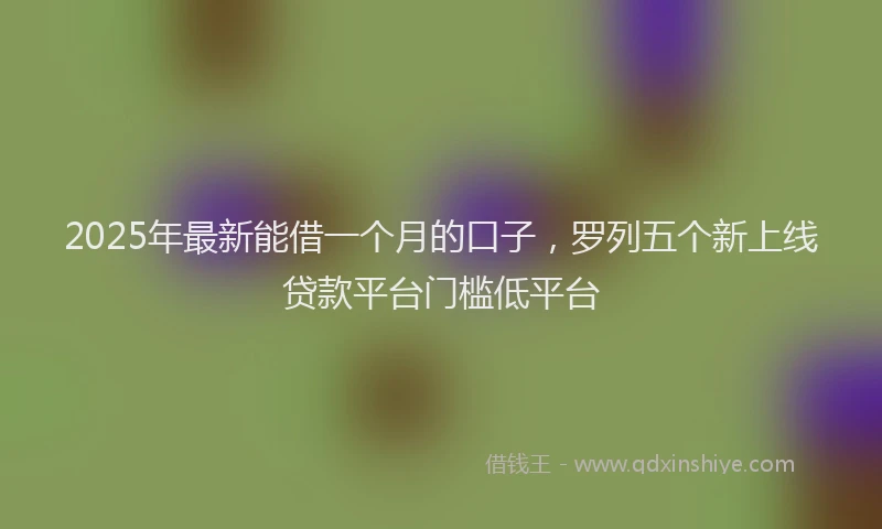 2025年最新能借一个月的口子，罗列五个新上线贷款平台门槛低平台