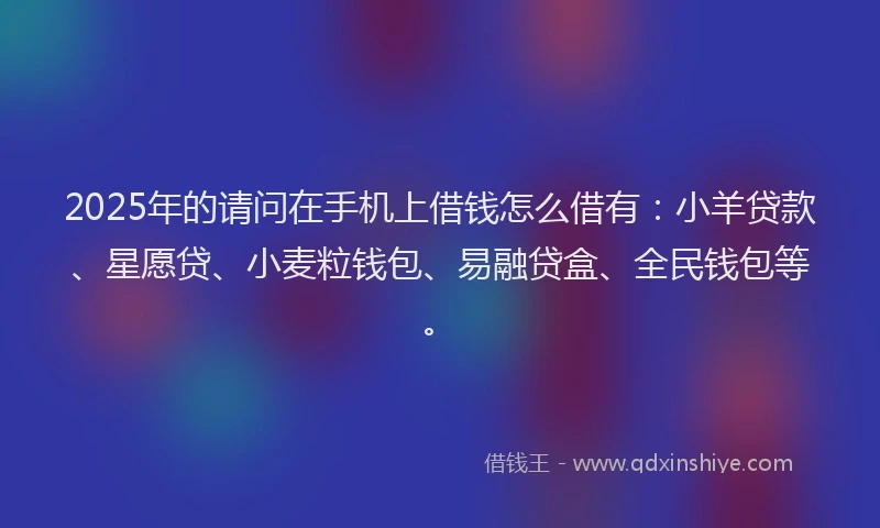 2025年的请问在手机上借钱怎么借有：小羊贷款、星愿贷、小麦粒钱包、易融贷盒、全民钱包等。
