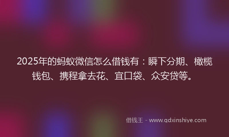 2025年的蚂蚁微信怎么借钱有：瞬下分期、橄榄钱包、携程拿去花、宜口袋、众安贷等。