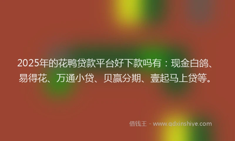 2025年的花鸭贷款平台好下款吗有：现金白鸽、易得花、万通小贷、贝赢分期、壹起马上贷等。