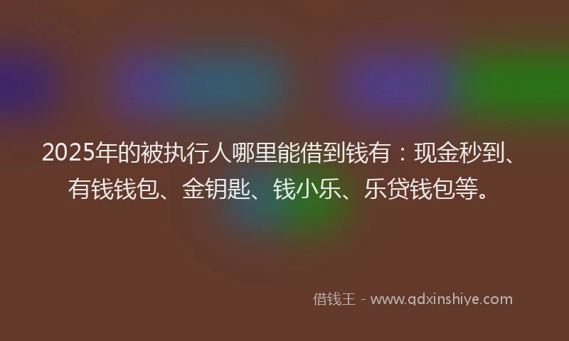 2025年的被执行人哪里能借到钱有：现金秒到、有钱钱包、金钥匙、钱小乐、乐贷钱包等。