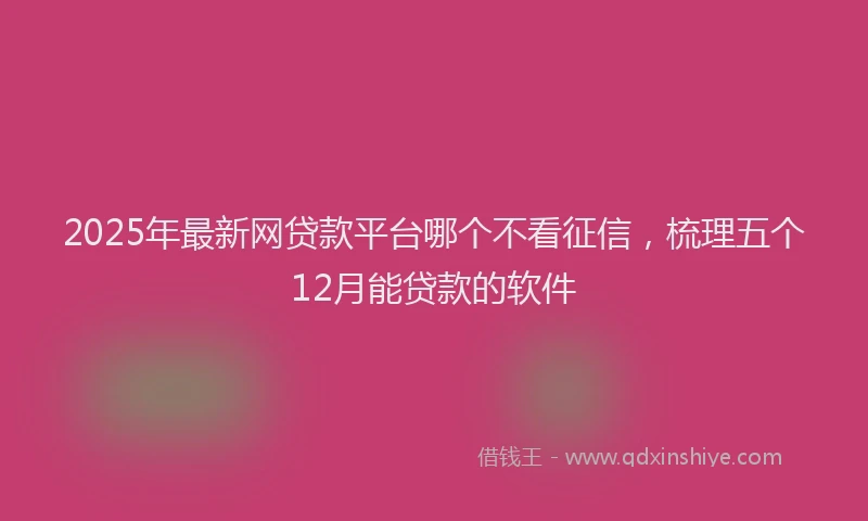 2025年最新网贷款平台哪个不看征信，梳理五个12月能贷款的软件