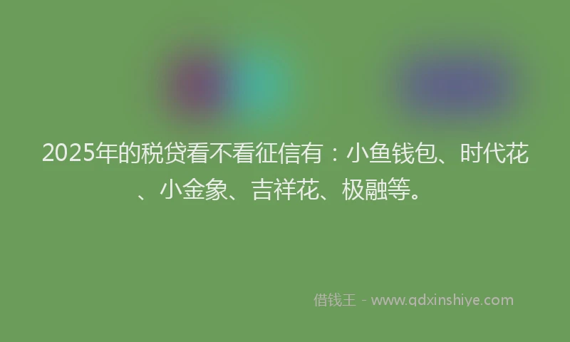 2025年的税贷看不看征信有：小鱼钱包、时代花、小金象、吉祥花、极融等。