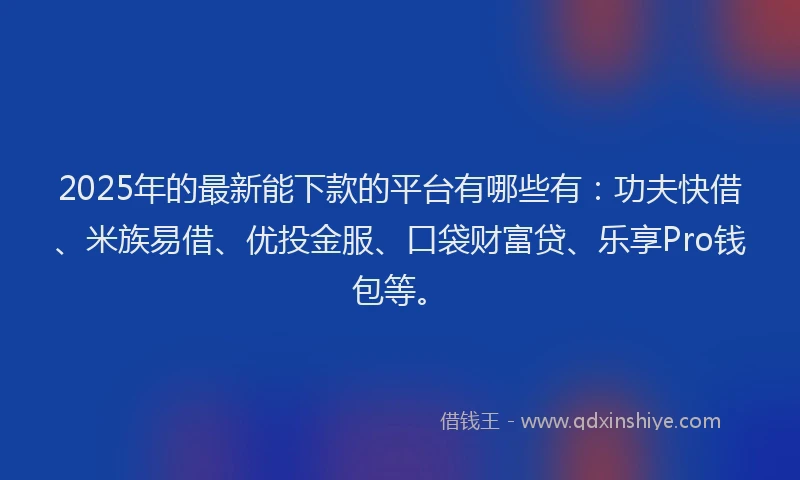 2025年的最新能下款的平台有哪些有：功夫快借、米族易借、优投金服、口袋财富贷、乐享Pro钱包等。