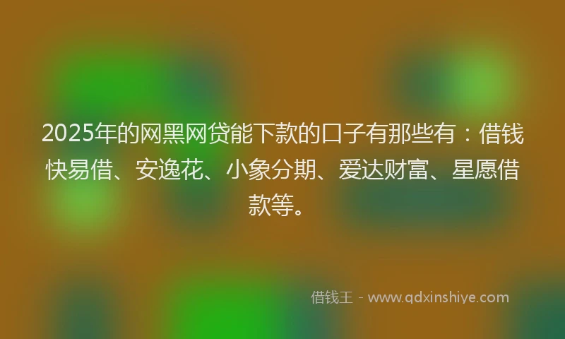 2025年的网黑网贷能下款的口子有那些有：借钱快易借、安逸花、小象分期、爱达财富、星愿借款等。