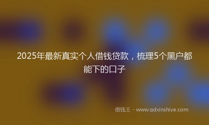 2025年最新真实个人借钱贷款，梳理5个黑户都能下的口子