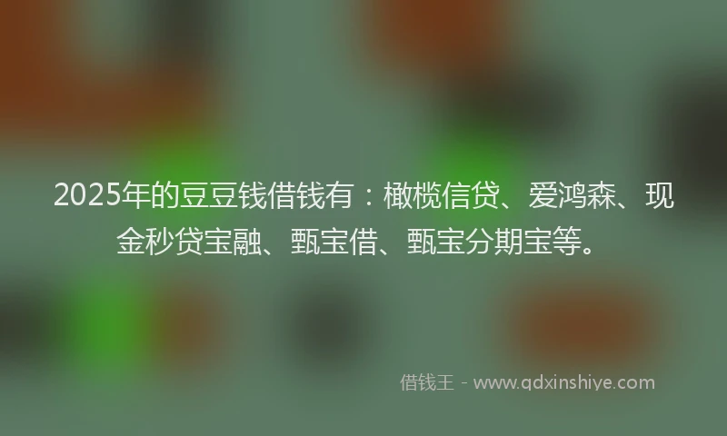 2025年的豆豆钱借钱有：橄榄信贷、爱鸿森、现金秒贷宝融、甄宝借、甄宝分期宝等。