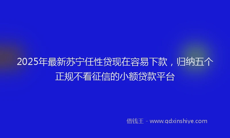 2025年最新苏宁任性贷现在容易下款，归纳五个正规不看征信的小额贷款平台