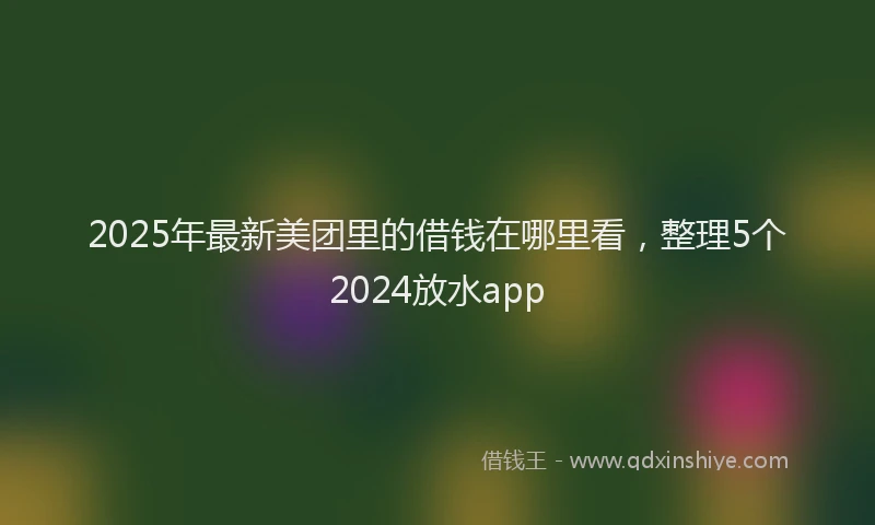 2025年最新美团里的借钱在哪里看，整理5个2024放水app