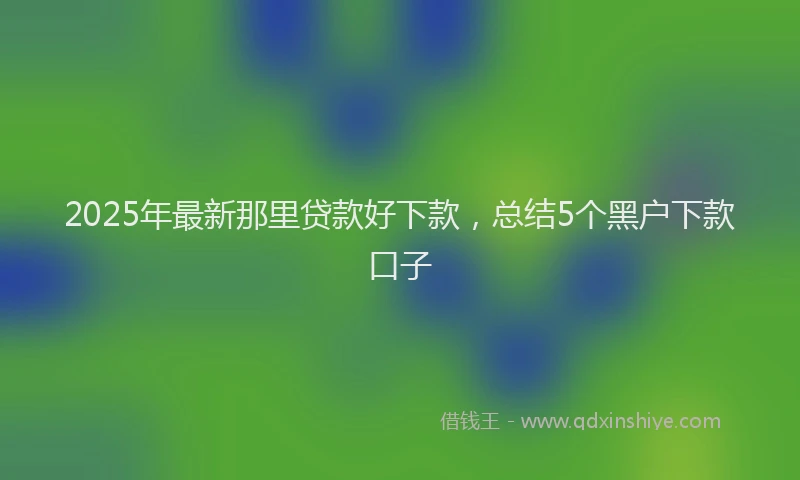 2025年最新那里贷款好下款，总结5个黑户下款口子