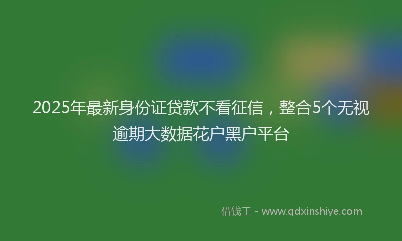 2025年最新身份证贷款不看征信，整合5个无视逾期大数据花户黑户平台