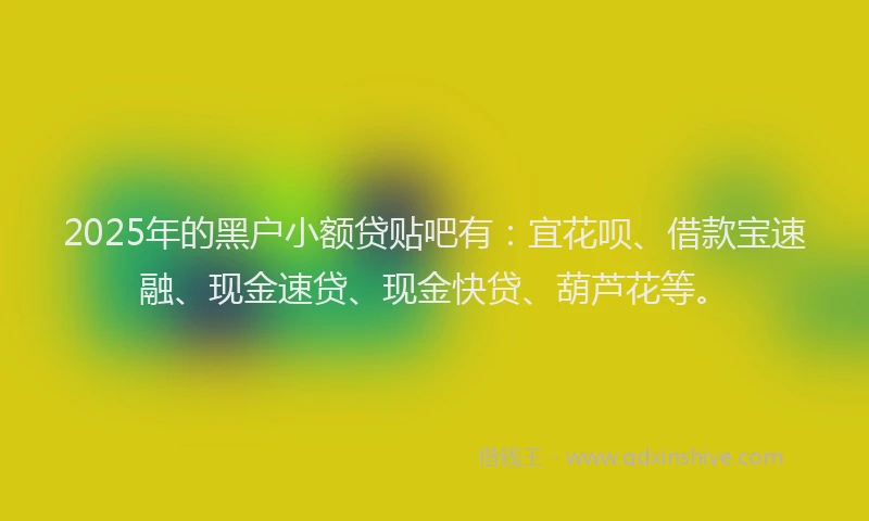 2025年的黑户小额贷贴吧有：宜花呗、借款宝速融、现金速贷、现金快贷、葫芦花等。