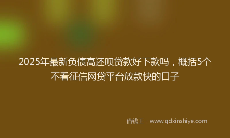 2025年最新负债高还呗贷款好下款吗，概括5个不看征信网贷平台放款快的口子