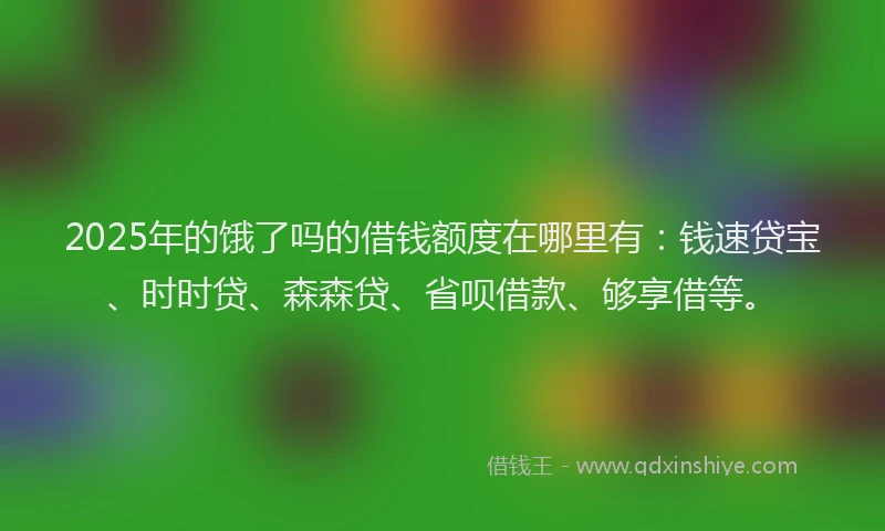 2025年的饿了吗的借钱额度在哪里有：钱速贷宝、时时贷、森森贷、省呗借款、够享借等。