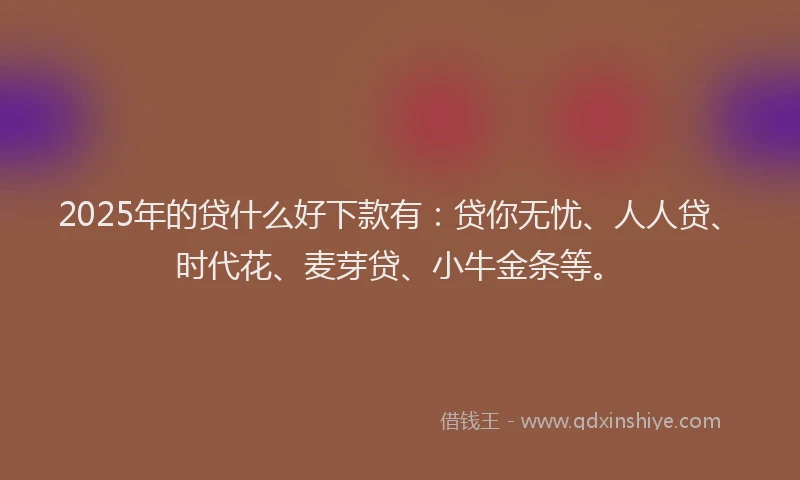 2025年的贷什么好下款有：贷你无忧、人人贷、时代花、麦芽贷、小牛金条等。