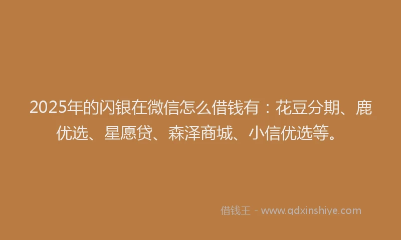 2025年的闪银在微信怎么借钱有：花豆分期、鹿优选、星愿贷、森泽商城、小信优选等。