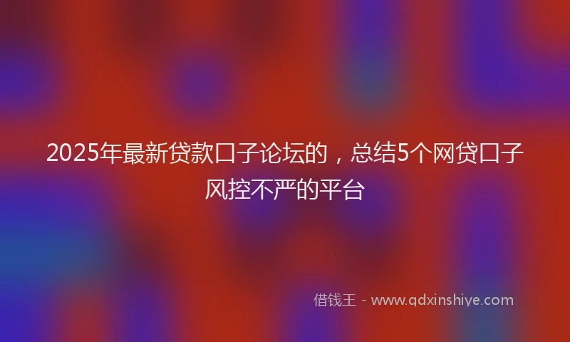 2025年最新贷款口子论坛的，总结5个网贷口子风控不严的平台