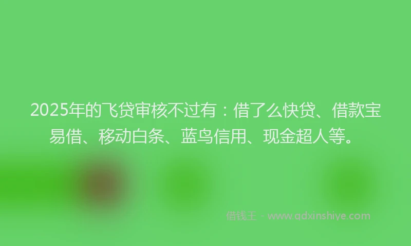 2025年的飞贷审核不过有：借了么快贷、借款宝易借、移动白条、蓝鸟信用、现金超人等。