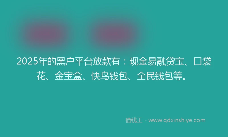 2025年的黑户平台放款有：现金易融贷宝、口袋花、金宝盒、快鸟钱包、全民钱包等。