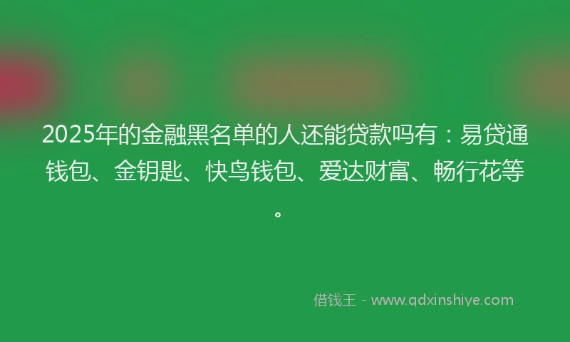 2025年的金融黑名单的人还能贷款吗有：易贷通钱包、金钥匙、快鸟钱包、爱达财富、畅行花等。