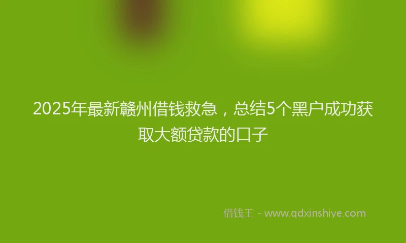 2025年最新赣州借钱救急，总结5个黑户成功获取大额贷款的口子