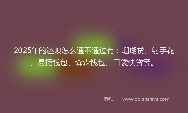 2025年的还呗怎么通不通过有：珊瑚贷、射手花、易捷钱包、森森钱包、口袋快贷等。