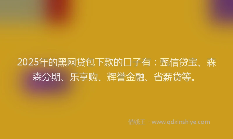 2025年的黑网贷包下款的口子有：甄信贷宝、森森分期、乐享购、辉誉金融、省薪贷等。