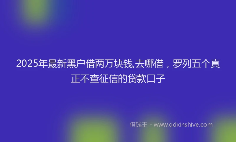 2025年最新黑户借两万块钱,去哪借，罗列五个真正不查征信的贷款口子